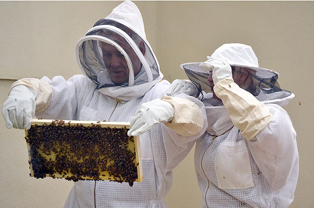 Ewing and Sabra Brown search for the queen bee in one of their hives. Photo by Andrea Kurth